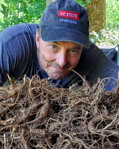 Jim Hamilton profile picture