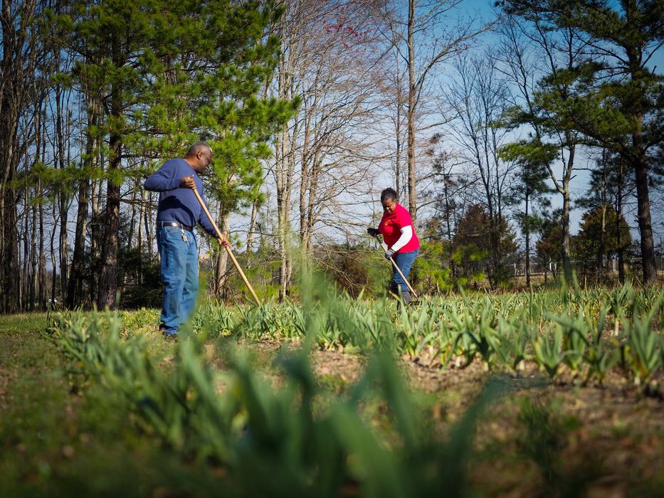 A couple work the land at their at their homestead in eastern Wake County