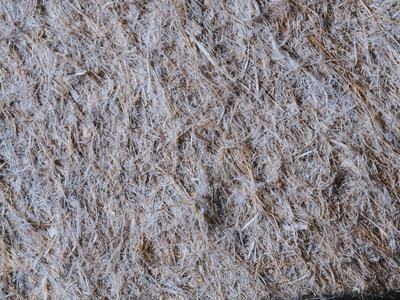 photo of shredded paper