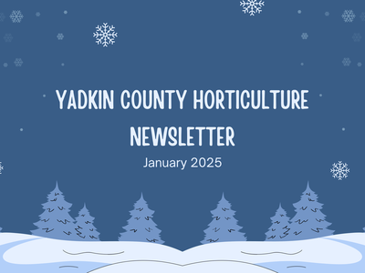 January Newsletter