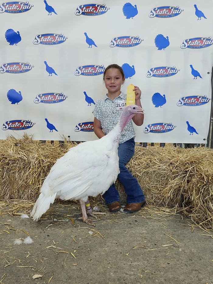 Young girl sitting on a bale holding a yellow ribbon.  There is also a white turkey in the picture.