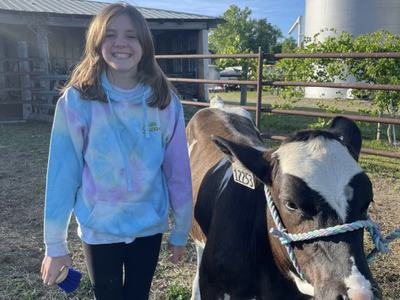 girl and cow