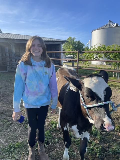 girl and cow