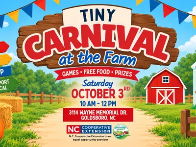 tiny carnival flyer