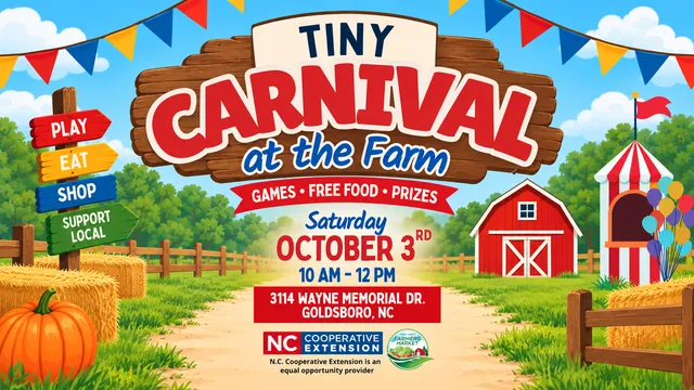 tiny carnival flyer