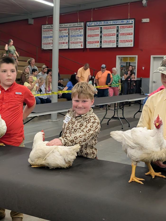 boy holding chicken
