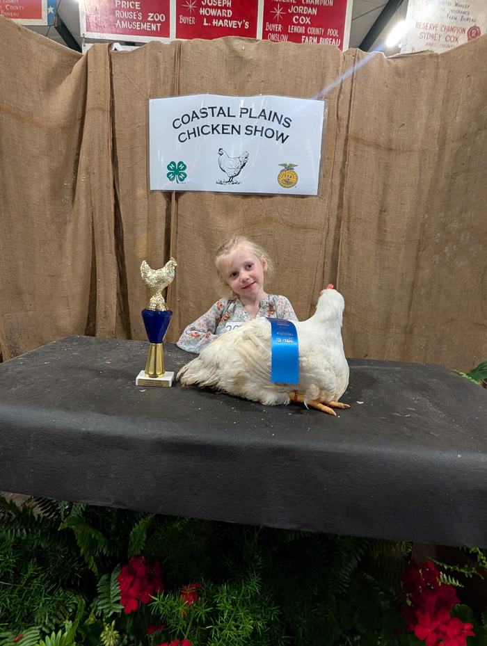 girl holding chicken