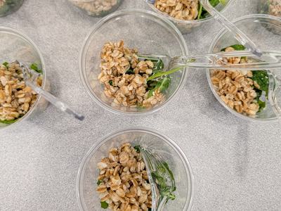 Samples of Kale, Arugula and Farro Salad