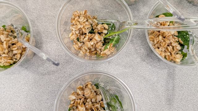Samples of Kale, Arugula and Farro Salad
