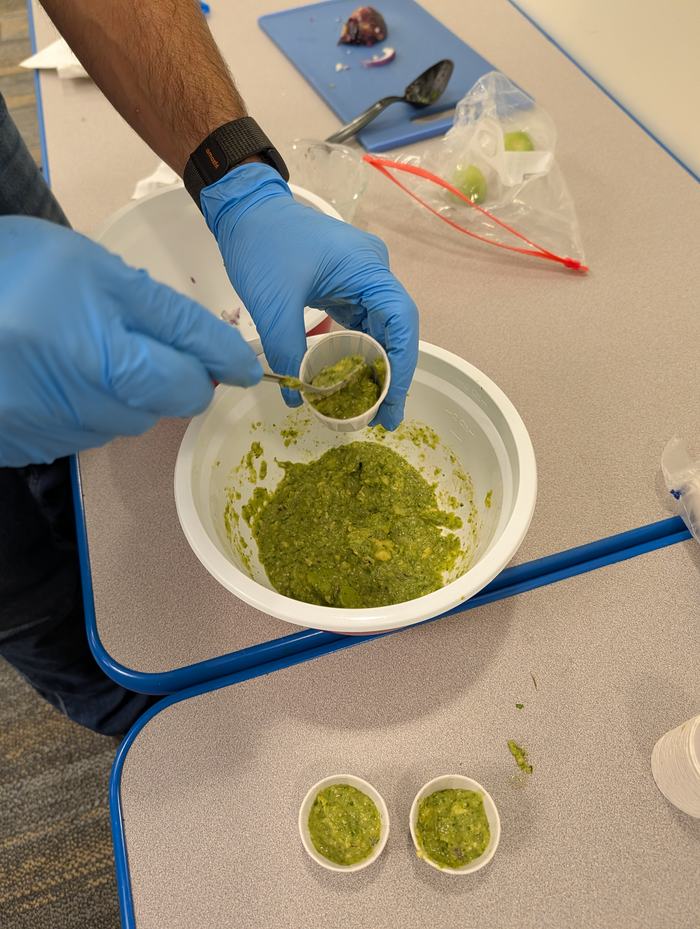 Ingredients to the Hancel Verde Salsa that is made entirely in the blender