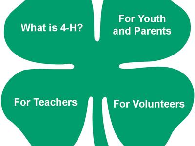 4-h clover