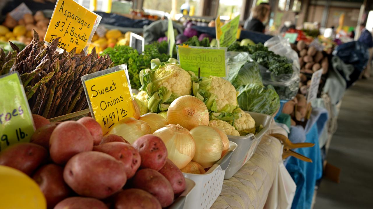 Common Insects & Diseases in the Garden: An Organic Focus - Macon ...