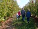 A family walks between orchard rows facing away from the camera.