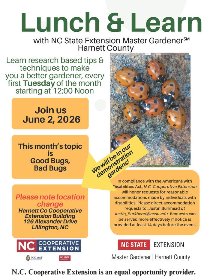 poster for june lunch and learn