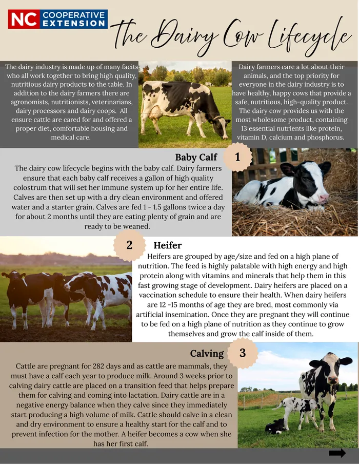 Lifecycle