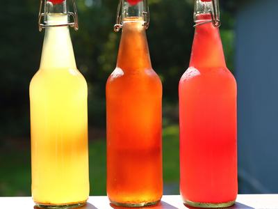 kombucha bottled in swing top bottles for carbonation