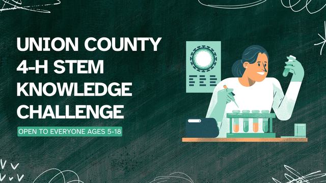 Union County 4-H STEM Knowledge Challenge poster