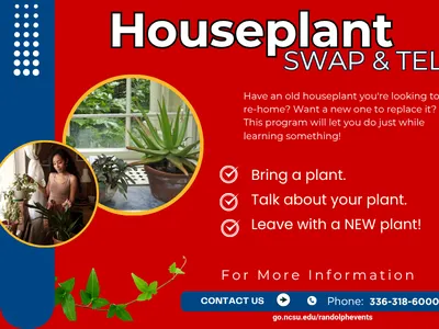 A red and blue flyer with the title "Houseplant SWAP & TELL." The flyer explains a program to re-home old houseplants, swap them for new ones, and learn about plants.