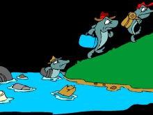 fishpacking
