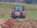 small tractor preparing the soil for the truffle bed