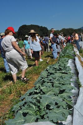attendees at the new Organic Research Unit