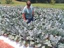 broccoli plot