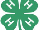 Green four-leaf clover with a white "H" on each leaf and text "18 USC 707"
