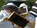 Beekeepers