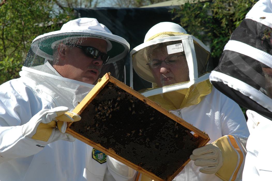 Beekeepers