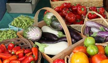 Perry-winkle Farm photo 25