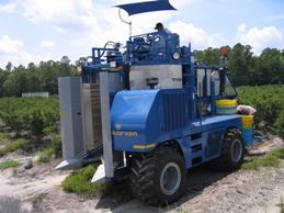 Commercial berry harvester
