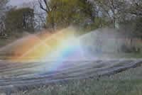 Irrigation over row covers