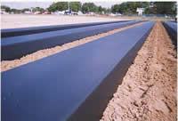 Raised strawberry beds with 5 foot centers