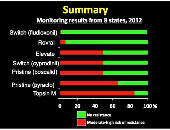 summary data