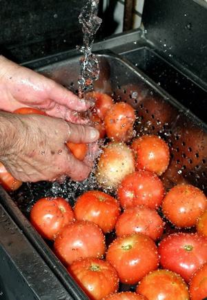 Growers can minimize on-the-farm food safety risks by implementing Good Agricultural Practices (GAPs) and Good Handling Practices (GHPs).