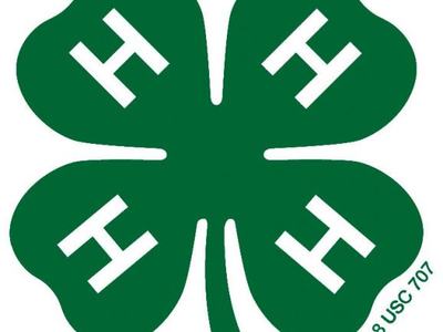 Green four-leaf clover with white "H" on each leaf and small text "18 USC 707"