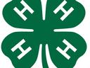 Green four-leaf clover with white "H" in each leaf and "18 USC 707" text at bottom