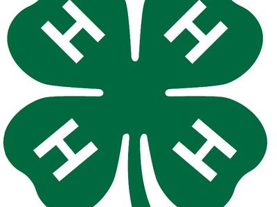Green four-leaf clover with white "H" in each leaf and "18 USC 707" text at bottom