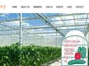 Landing page for NC Greenhouse Vegetable Growers website