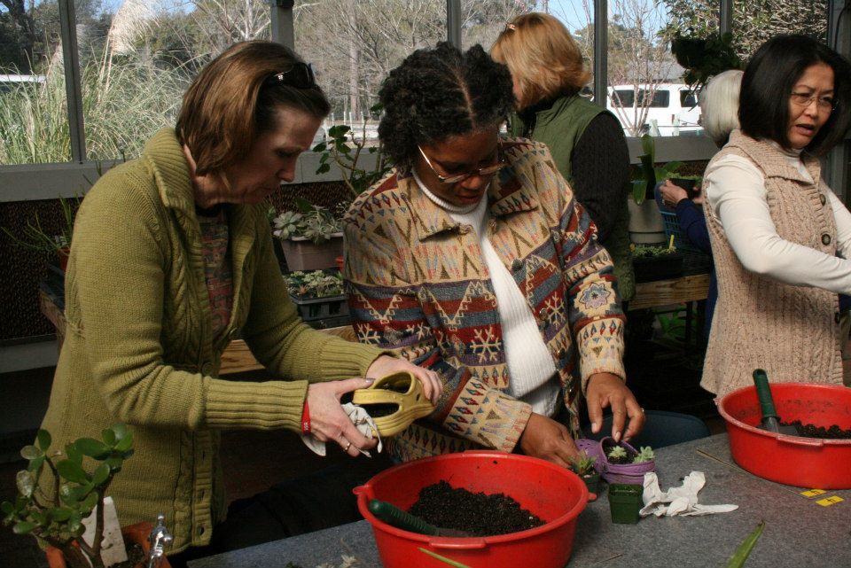 People planting seedlings