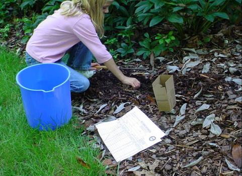 A gardener kneeling in the garden with a plastic bucket, forms and a collection box for submitting a soil sample.