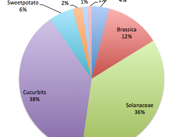 Vegetable samples by family or type diagnosed by the PDIC and the Vegetable Pathology lab