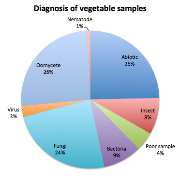 Diagnosis of vegetable samples 