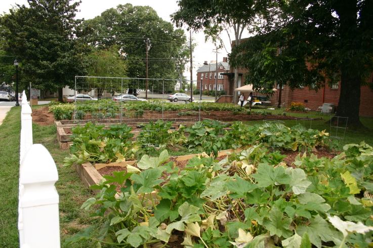 Greensboro Garden