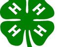 4-H Clover