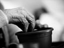 Wrinkled hand placing a bulb into soil in a plastic flower pot
