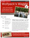 Waggle Newsletter Thumbnail