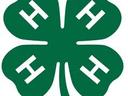 4-H Logo