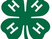 4-H Logo