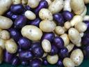 pile of potatoes